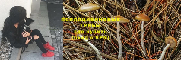 первитин Нефтегорск