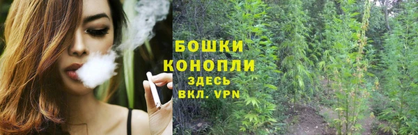 дмт Нефтекумск