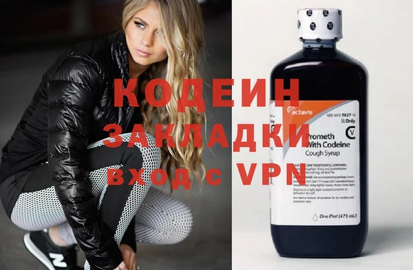дмт Дмитровск
